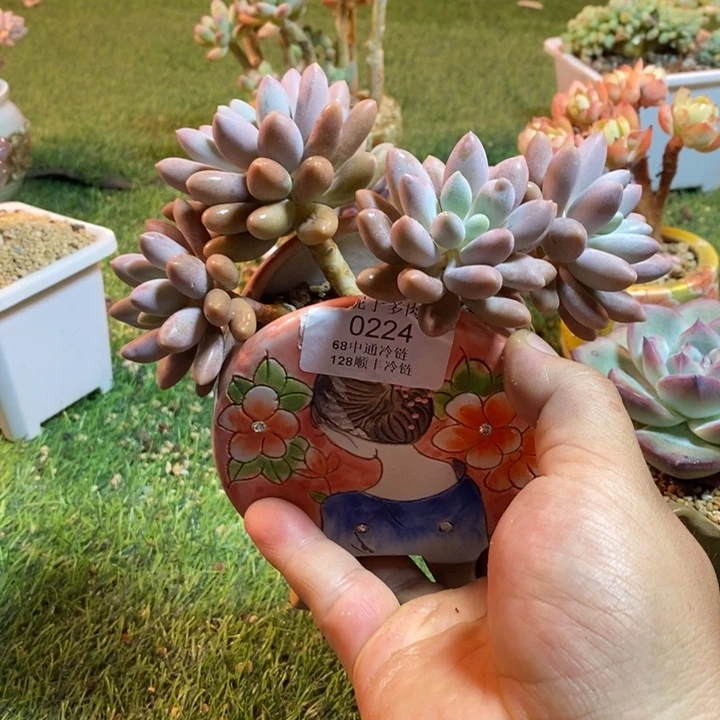 0224啊啊啊啊啊啊啊啊啊啊啊