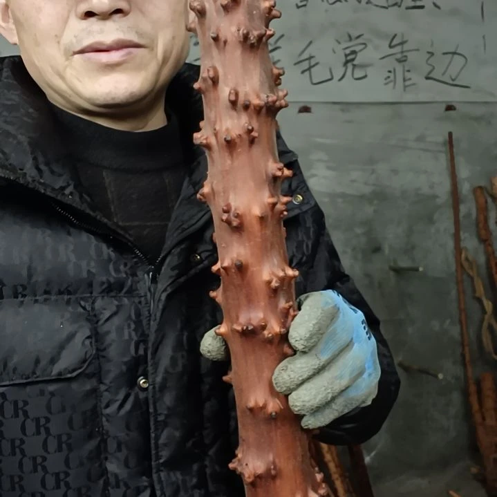 稳定木用****5贵州檬子木   铁马鞭   根艺  半成品