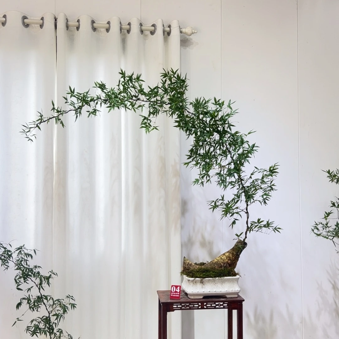 无花朵高提根大桩单杆