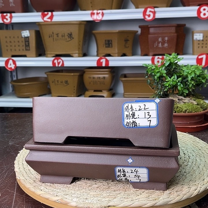 紫砂花盆紫砂花茶