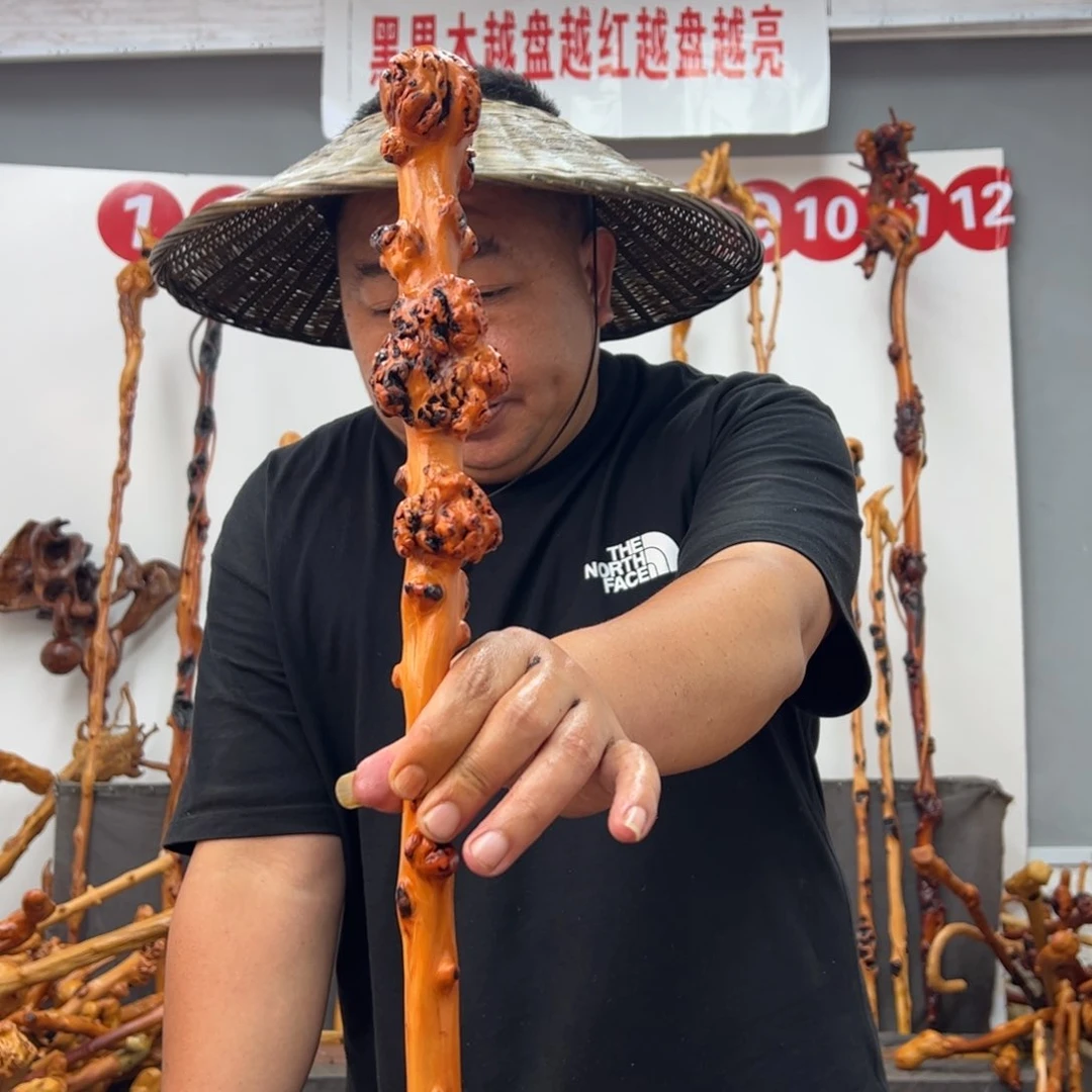 黑果木其他黑果木224