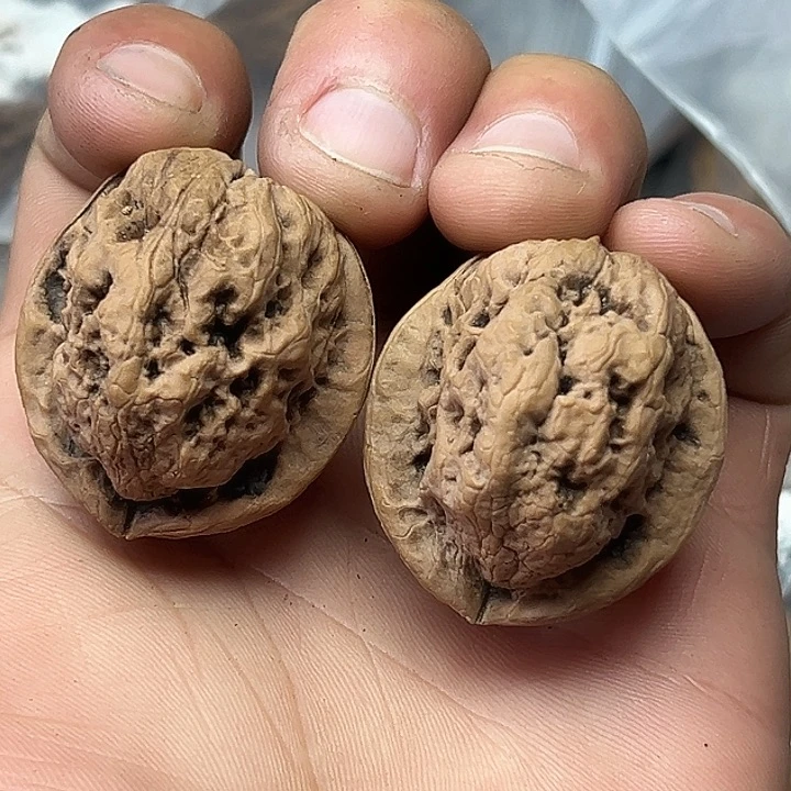 把件文玩核桃29号官帽蟾35尺