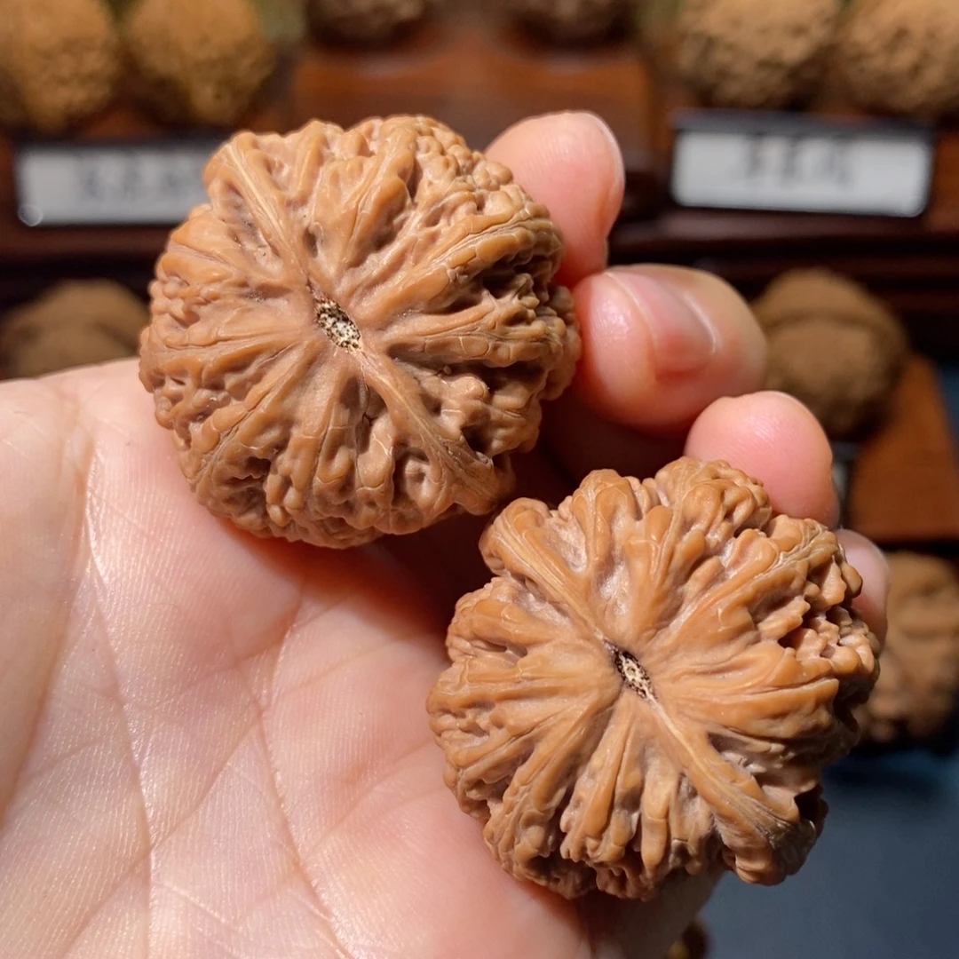 吊坠猴头核桃小粗筋全品37