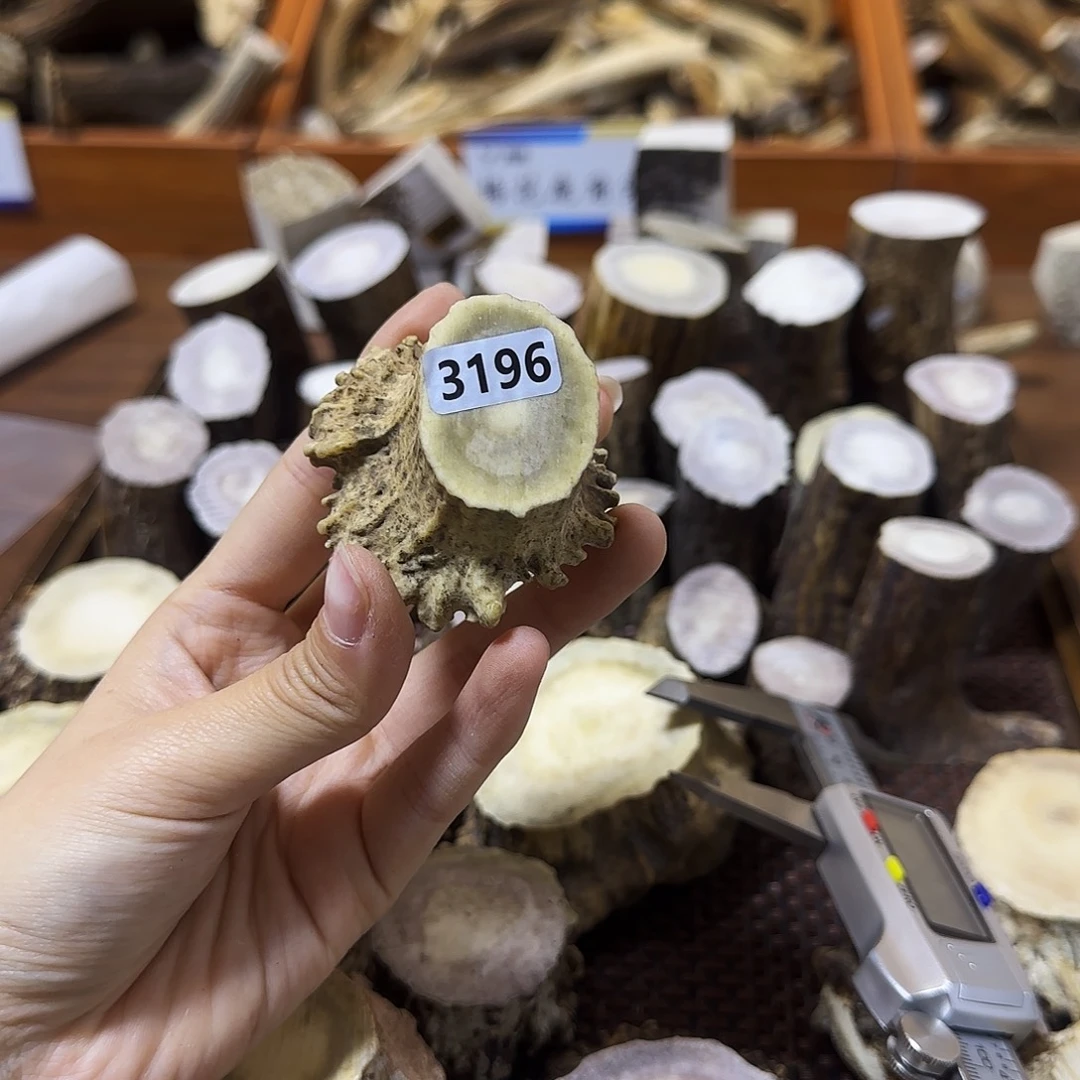 手串/手链鹿骨3196角帽