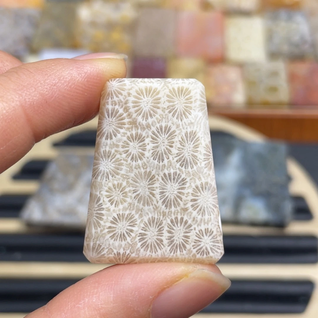 硅化玉未镶嵌颈饰k26