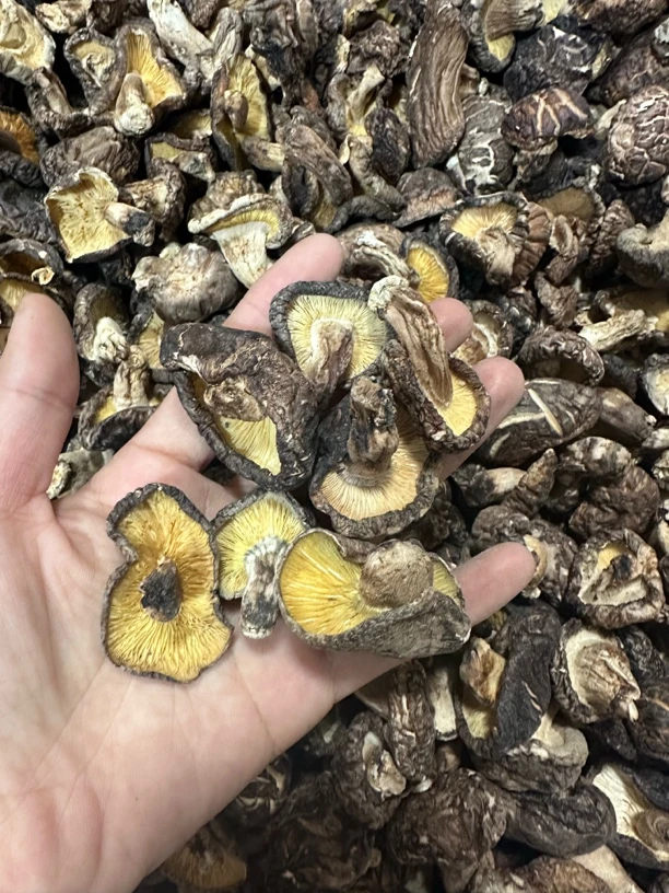 【福利款】新货农家精选香菇干货肉厚煲汤火锅适用