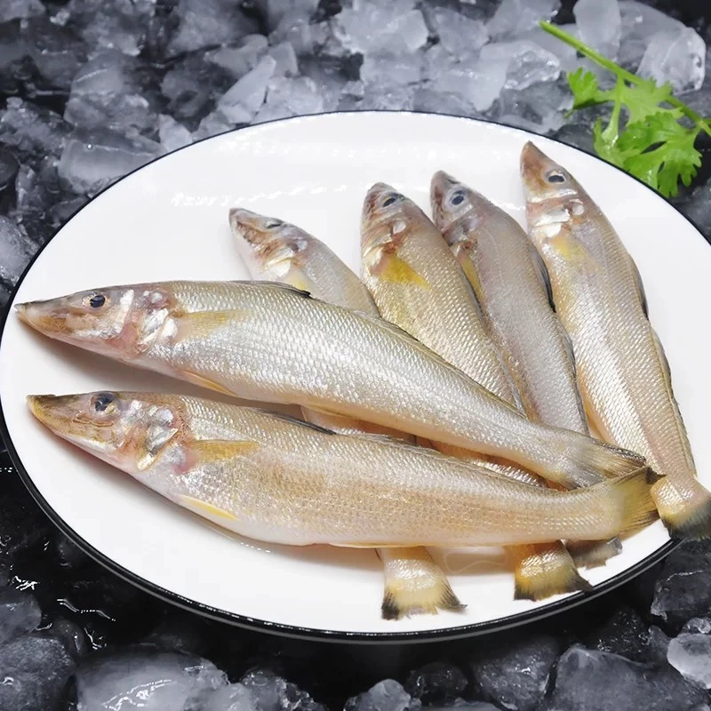 沙尖鱼 沙丁鱼阳江海鲜营养鱼肉沙钻鱼（约8~10条/斤）帮杀发货