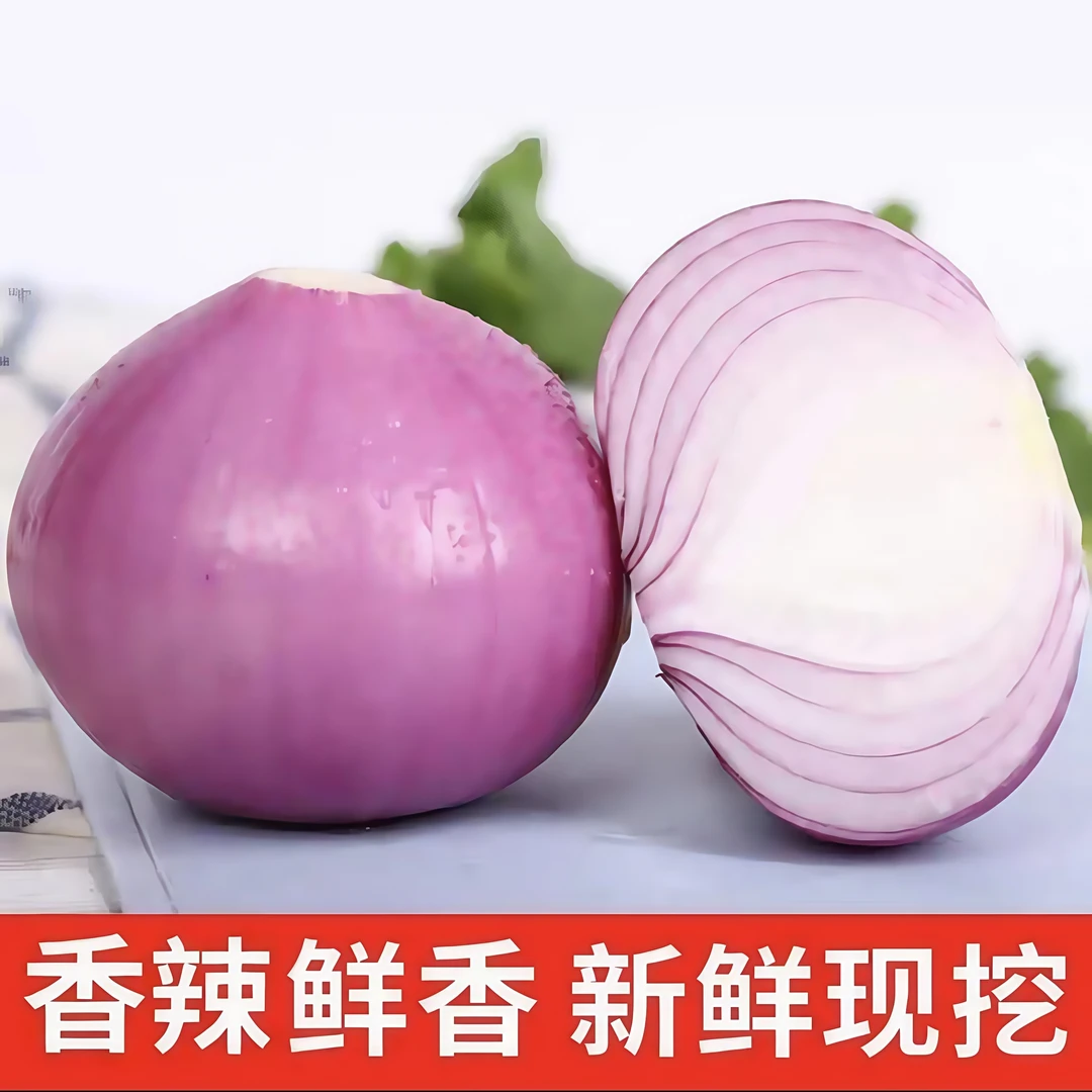 【田间鲜专属】成都新鲜现挖现发紫皮洋葱时令蔬菜脆甜多汁5斤