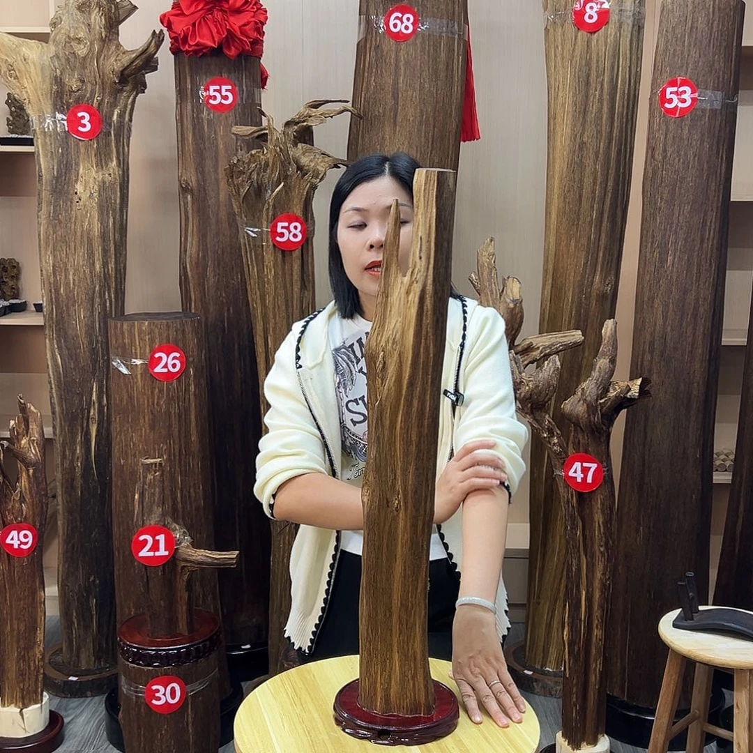 沉香碎屑沉香沉香