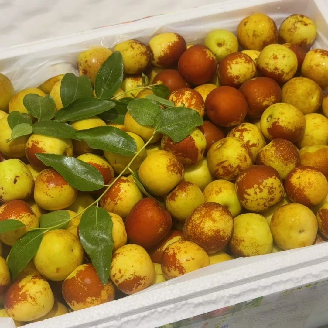 大荔冰糖冬枣(酥,脆,甜,水分大,肉质紧实)