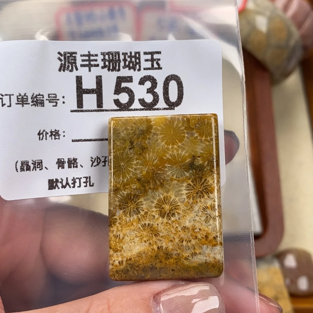 硅化玉颈饰未镶嵌张*黑