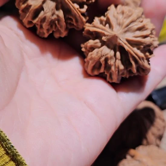 文玩核桃吊坠38三楞