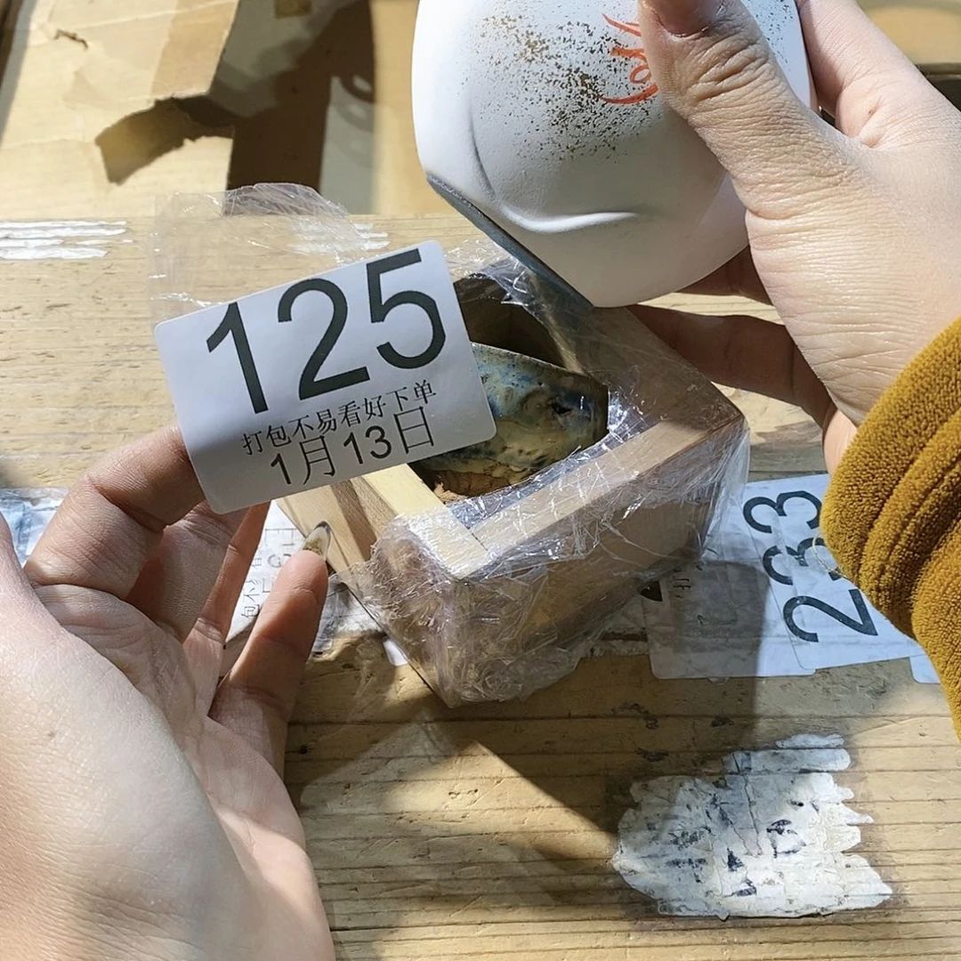 杯?****嘻丽江丽江丽江丽江丽江啦