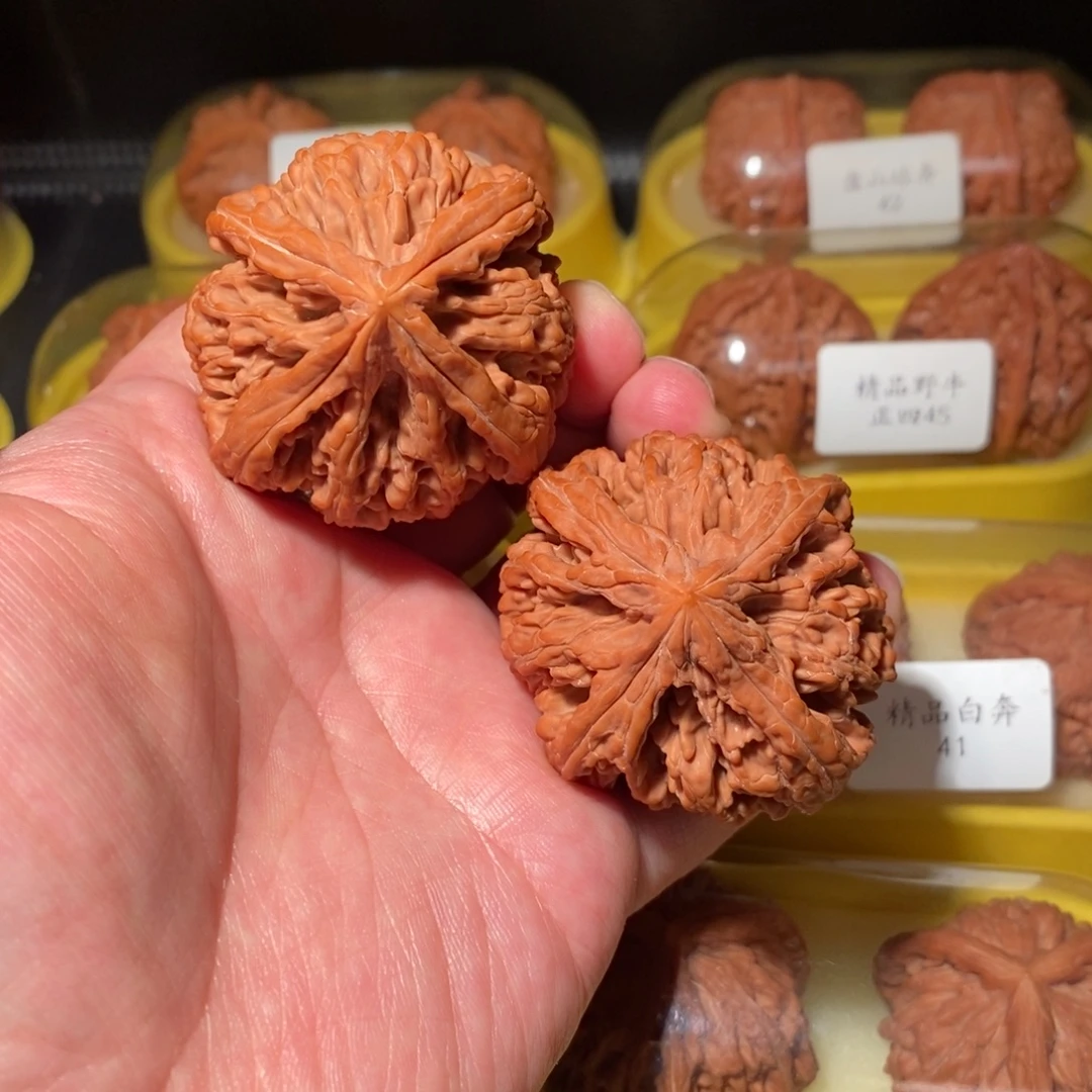 多***懒文玩核桃把件49九龙筋粗棱正四棱精品对