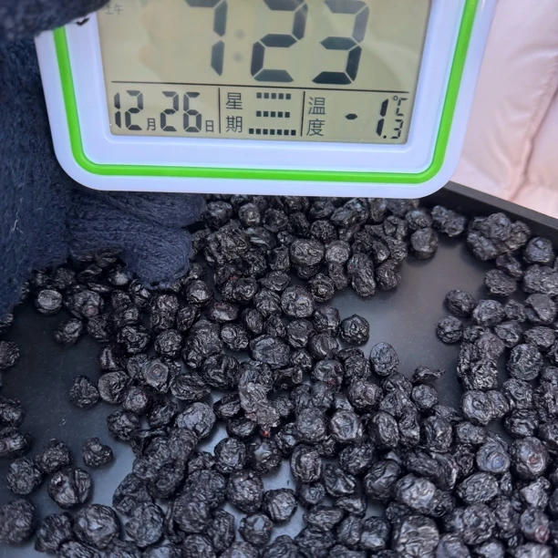 长白山好吃蓝莓干