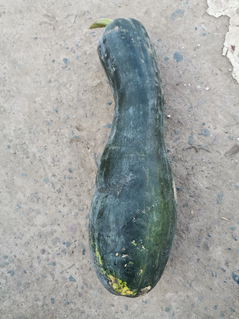 赶集农家瓜果蔬菜代买（一物一拍）