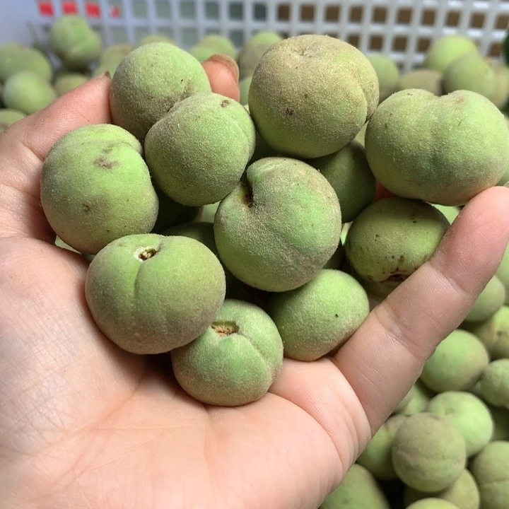 核桃手串/手链桃核青皮纽扣不退不换