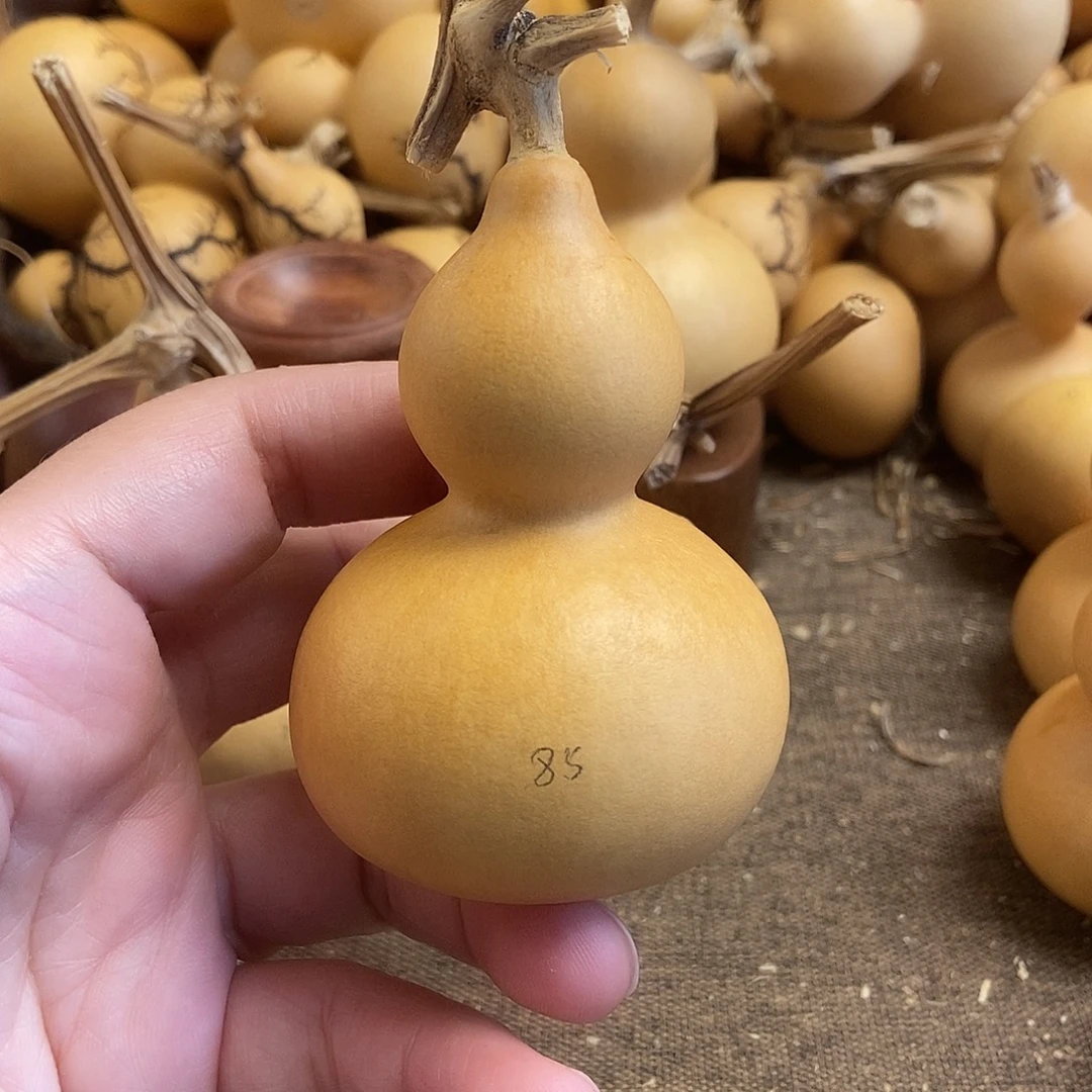 文玩葫芦 完美主义者 慎拍85