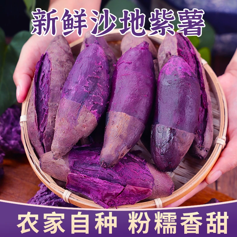 【5斤爆卖】新鲜紫薯沙地现挖农家自种红番薯地瓜粗粮辅食烟薯香薯