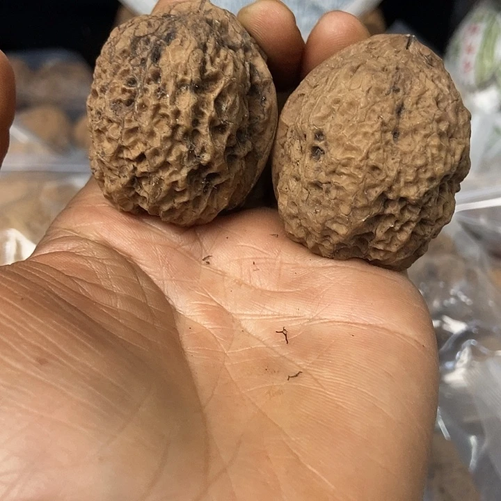 把件文玩核桃云南铁核桃基地68