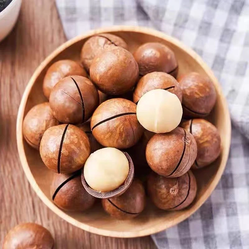 奶香味饱满酥脆夏威夷果赠送开壳器休闲零食