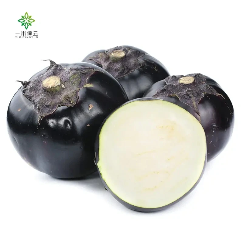 北京精品圆茄约0.6-1斤/个