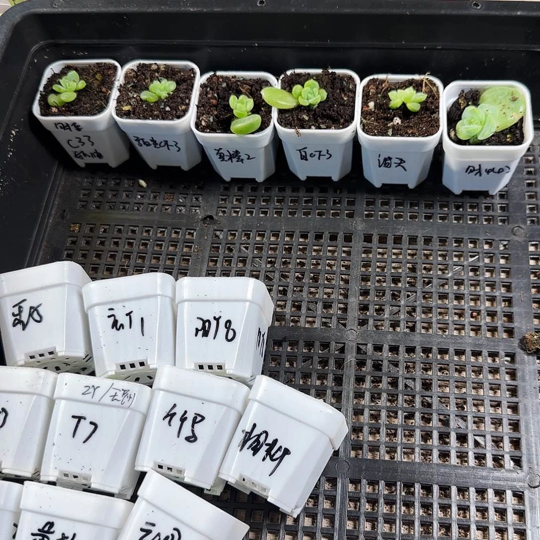 财富6件套满25包邮