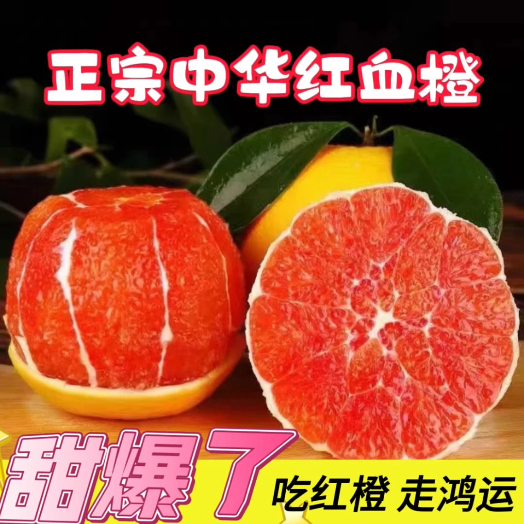 【石矶专属】橙中贵族中华红橙湖北宜昌新鲜水果当季5/9斤天然