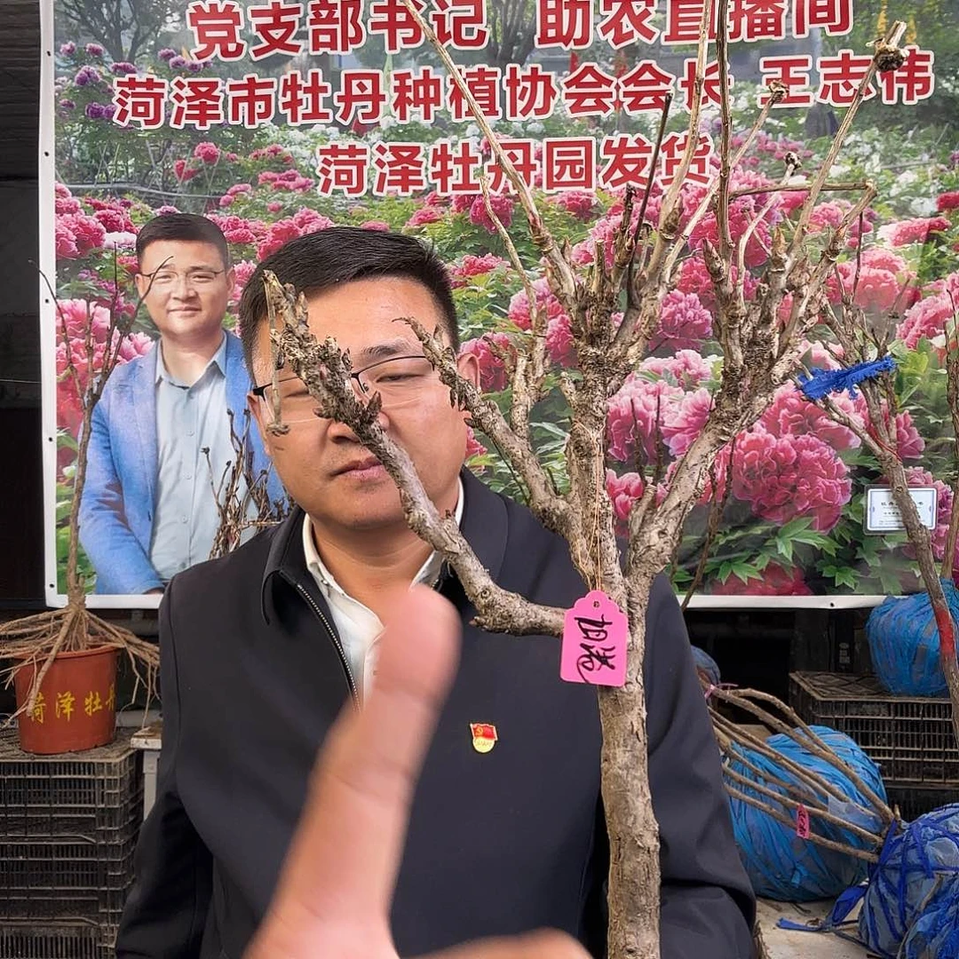 平***乐完全开放旭刚356号