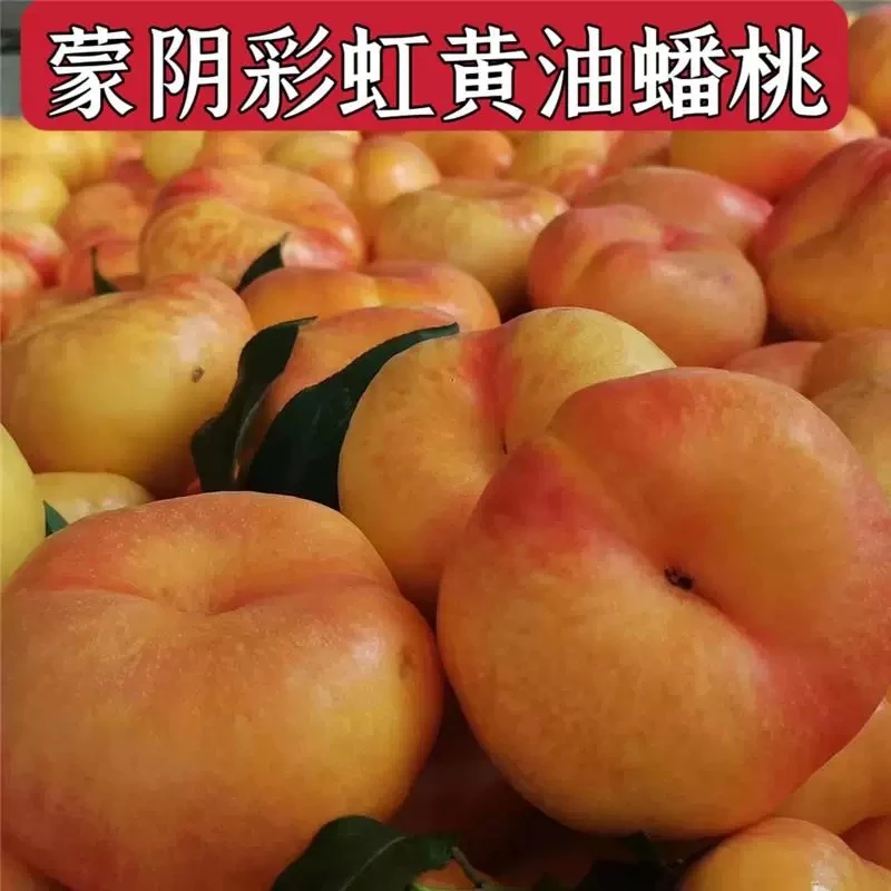 【产地直发】山东蒙阴彩虹油蟠桃 应季时令水果 饱满多汁