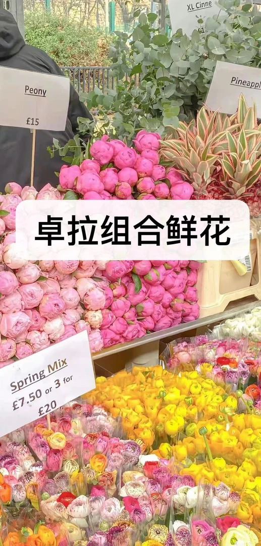 卓拉鲜花-组合套装