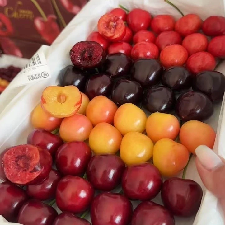 顺丰@【5斤大果】大连陆地头茬大樱桃（萨米托、美早、美国红）3斤5斤J产地次日达脆甜皮薄核小美早/萨米脱/美国红