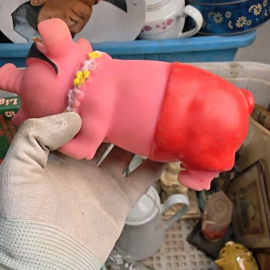 用***9衣服啊啊啊啊啊啊啊啊