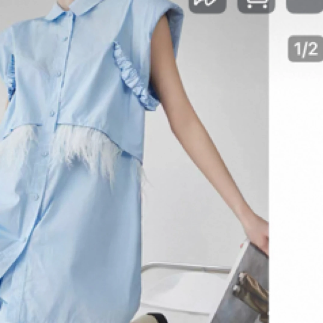 芮家蓝色无袖羽毛设计套装