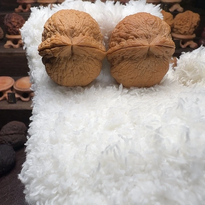 熬***阳木质类经典名款铁龙珠43尺精配