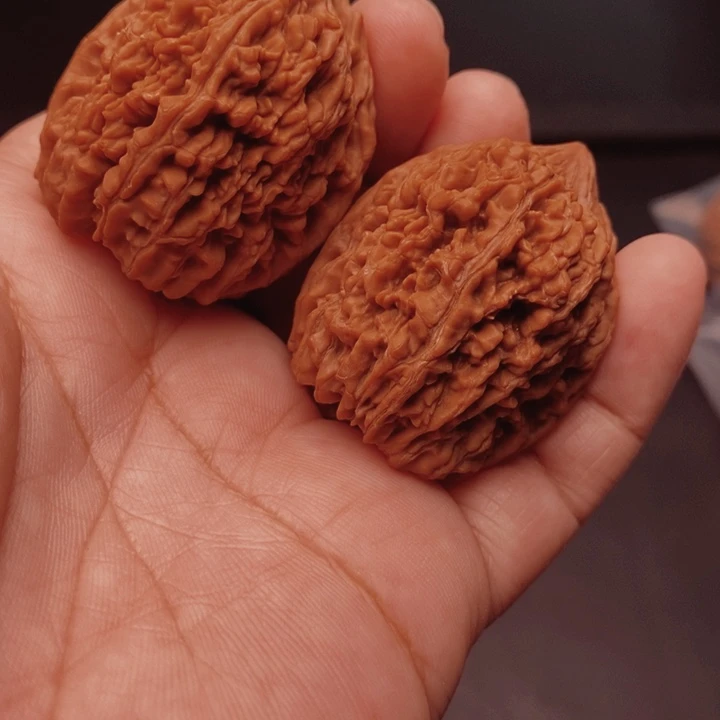 核桃大蒜头35尺核桃