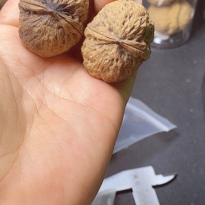 把件文玩核桃66-38mm