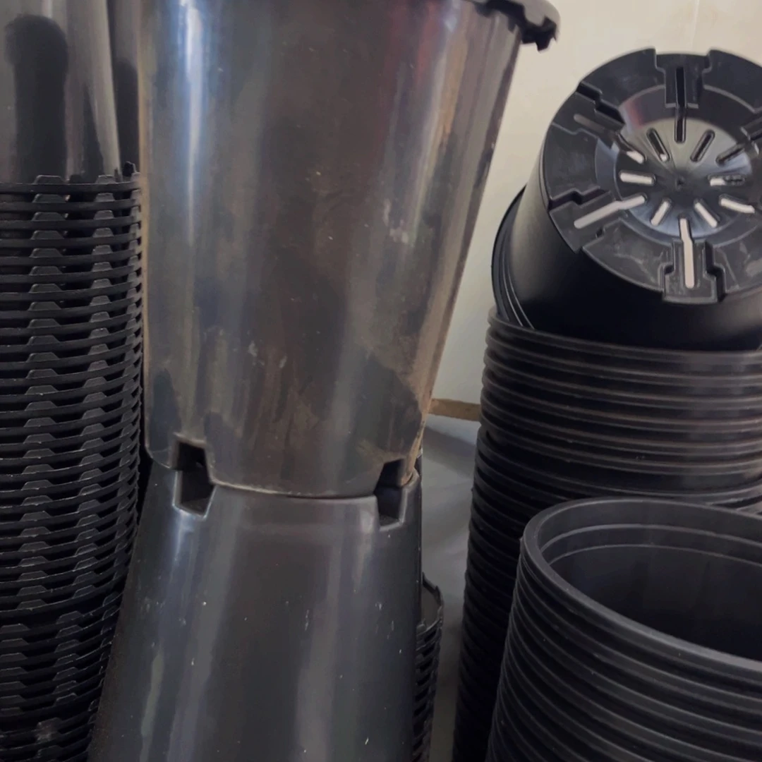 口径17.5 高度19 兰花盆15个