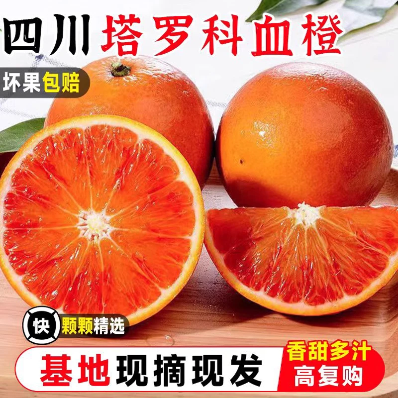 四川塔罗科血橙 新鲜时令不催熟水果 橙子新鲜水果