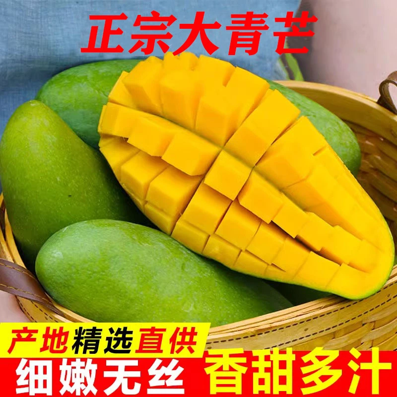 【生熟两吃】云南正宗特大青芒果青皮芒果当季热带超甜金煌芒整箱