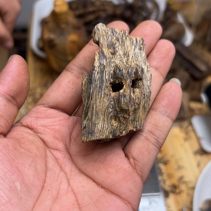 沉香沉香碎屑10.8克