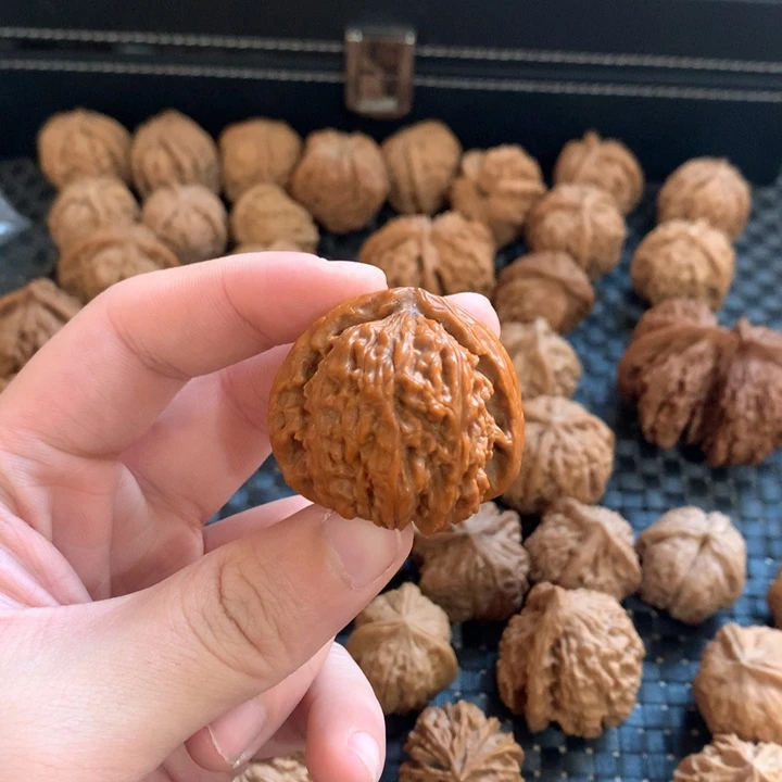 P***,文玩核桃把件白狮子