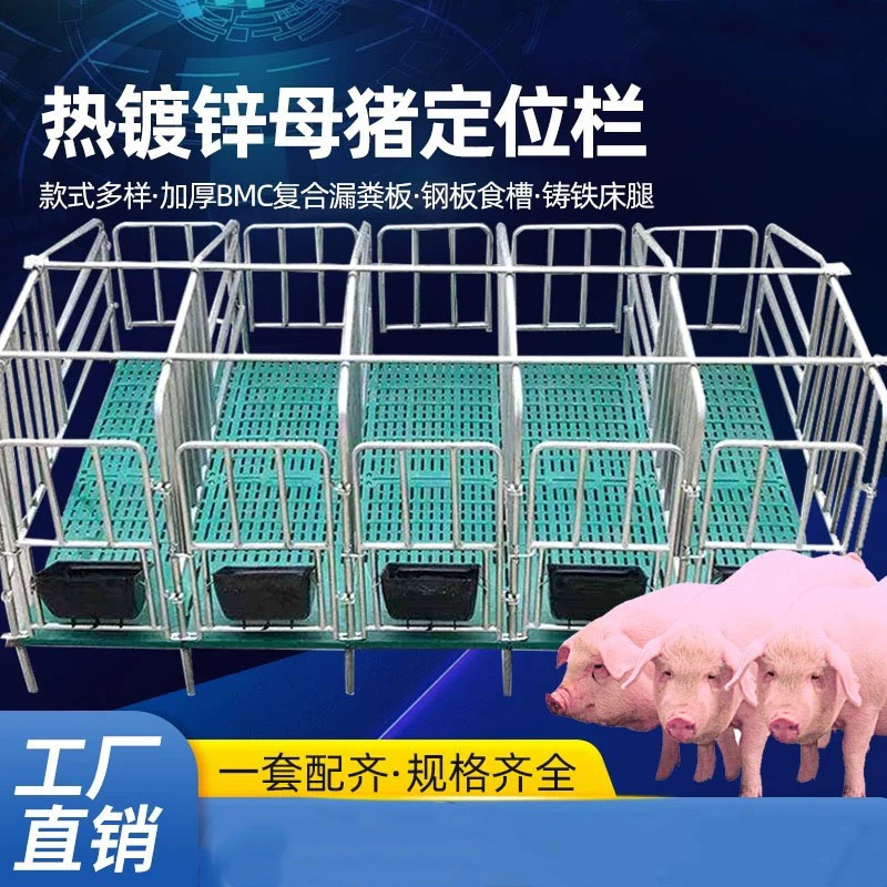 猪用围栏 猪用限位栏育肥栏 母猪定位栏10个猪位栏带槽定位栏养猪