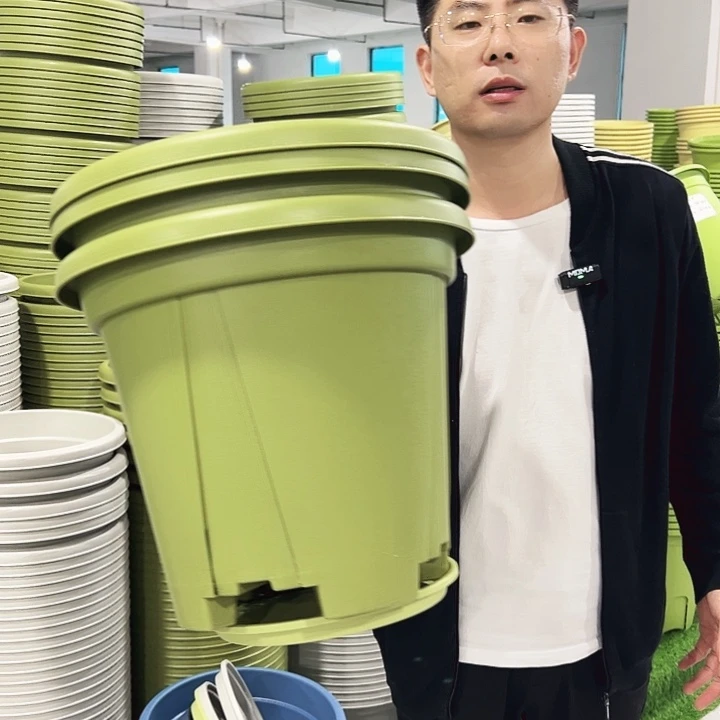 青山口40高34果绿3只带托