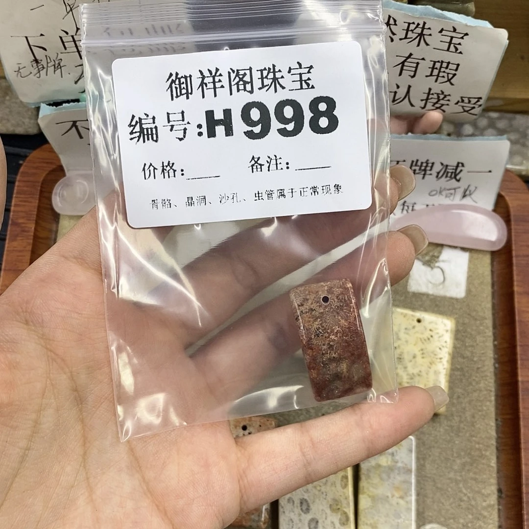 硅化珊瑚（珊瑚玉）未镶嵌颈饰三*