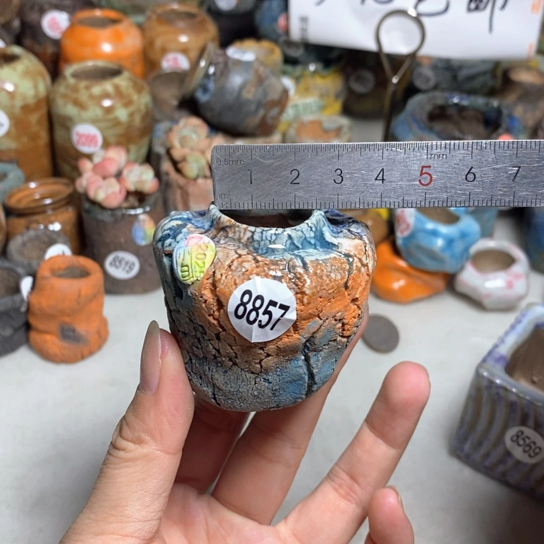 拍3送一个小礼物