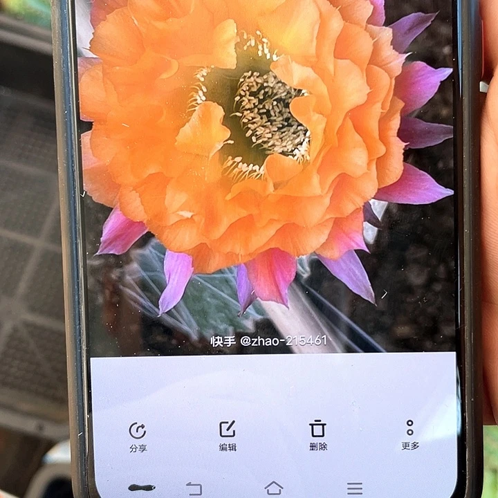 G13侧芽歪5公分以上