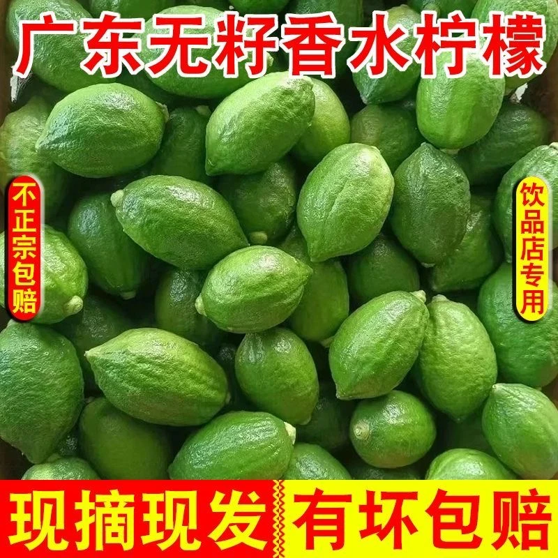 广东香水柠檬手打柠檬茶奶茶店摆摊专用无籽香水柠檬浓香型现摘