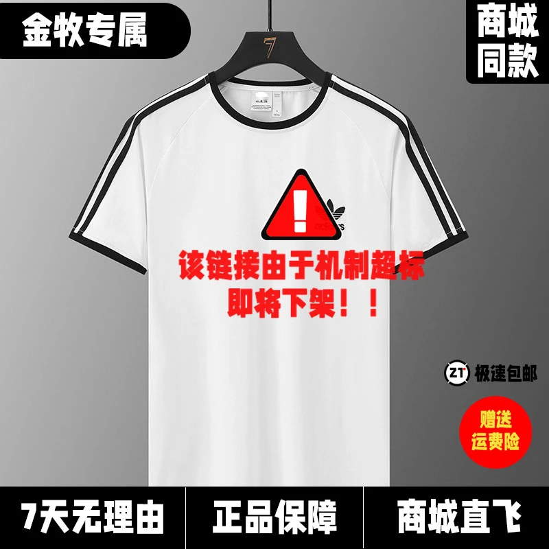 【播间同款】纯棉刺绣logo冰瓷棉短袖T恤休闲圆领短袖男女同款