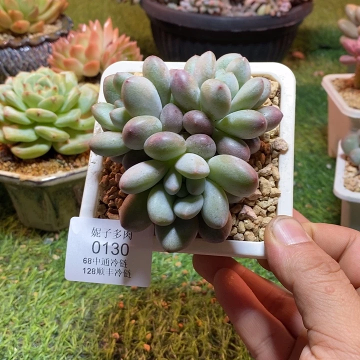 0130啊啊啊啊啊啊啊啊啊啊